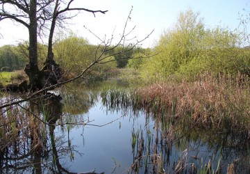 Propriété de chasse Propriété à vendre