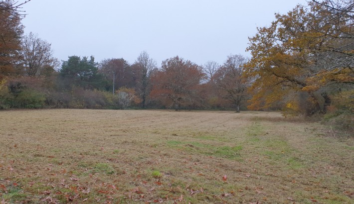 Propriété de chasse Propriété à vendre