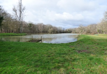 Propriété de chasse Propriété à vendre en Sologne