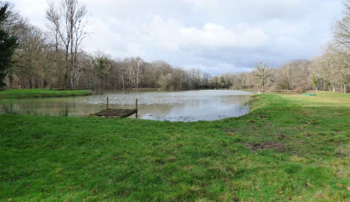 Propriété de chasse Propriété à vendre en Sologne