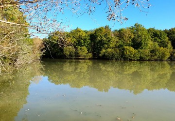 Propriété de chasse Territoire de chasse à vendre en Sologne