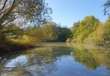 Propriété de chasse Territoire de chasse à vendre en Sologne