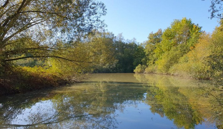 Propriété de chasse Territoire de chasse à vendre en Sologne