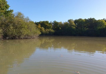 Propriété de chasse Territoire de chasse à vendre en Sologne