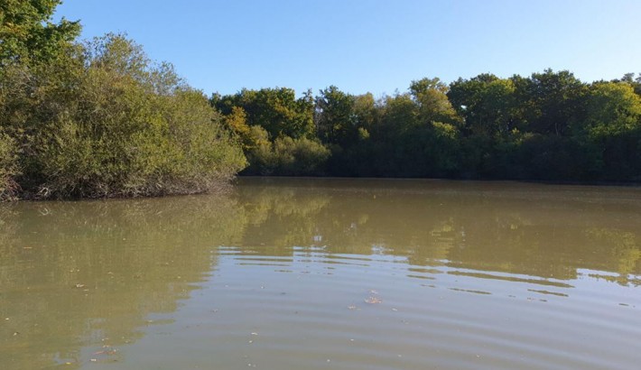 Propriété de chasse Territoire de chasse à vendre en Sologne