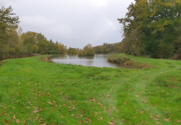 Propriété de chasse 3 étangs à vendre en Sologne