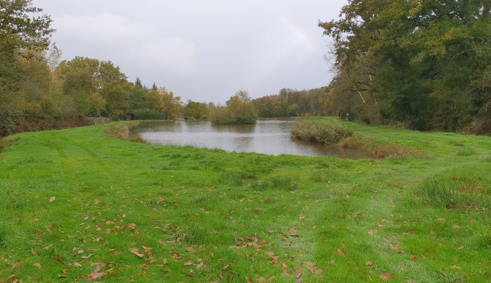 Propriété de chasse 3 étangs à vendre en Sologne