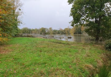 Propriété de chasse 3 étangs à vendre en Sologne