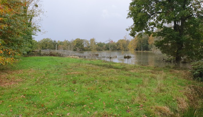 Propriété de chasse 3 étangs à vendre en Sologne