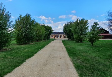 Propriété de chasse à vendre en Sologne