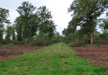 Propriété de chasse Propriété de chasse à vendre en Sologne