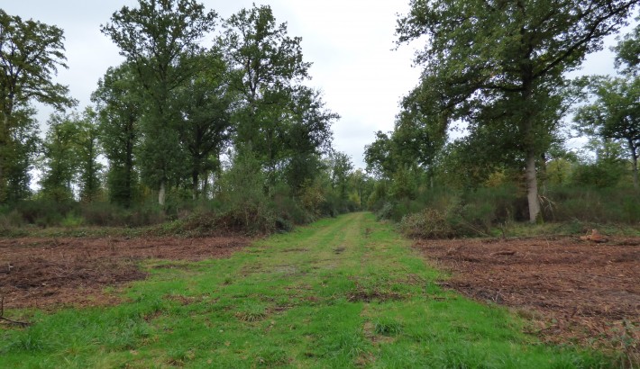 Propriété de chasse Propriété de chasse à vendre en Sologne