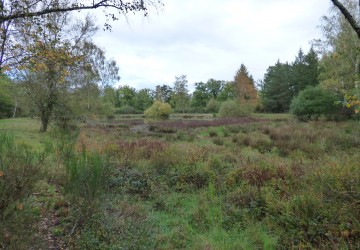 Propriété de chasse Propriété de chasse à vendre en Sologne