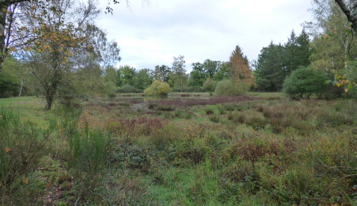 Propriété de chasse Propriété de chasse à vendre en Sologne