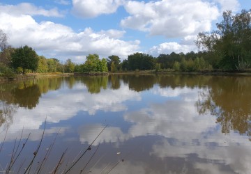 Propriété de chasse Propriété de chasser à vendre en Sologne