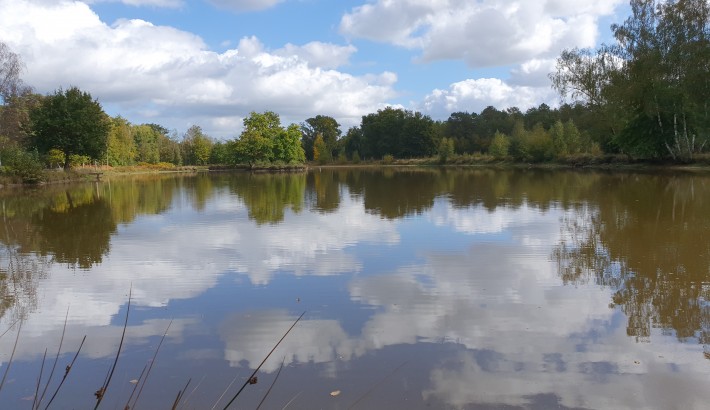 Propriété de chasse Propriété de chasser à vendre en Sologne