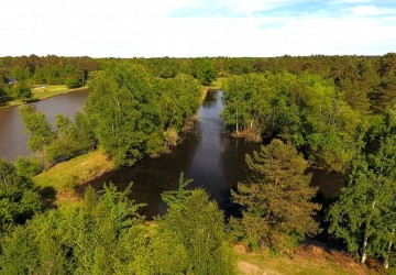 Propriété de chasse Propriété de chasser à vendre en Sologne