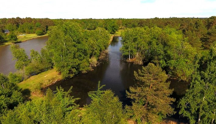 Propriété de chasse Propriété de chasser à vendre en Sologne