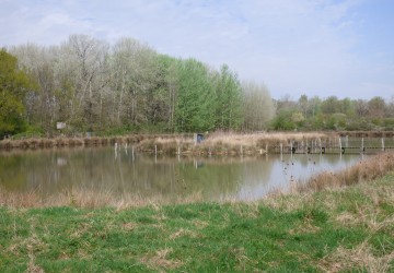 Propriété de chasse Propriété de chasse à vendre