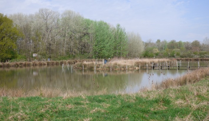 Propriété de chasse Propriété de chasse à vendre