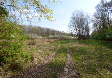 Propriété de chasse Propriété de chasse à vendre