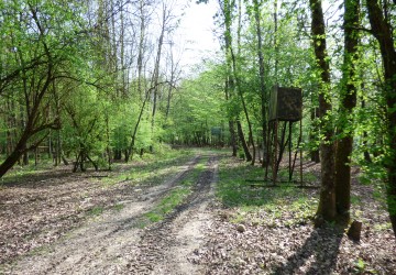 Propriété de chasse Propriété de chasse à vendre