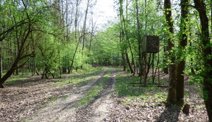 Propriété de chasse Propriété de chasse à vendre