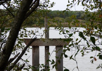 Propriété de chasse Propriété de chasse à vendre