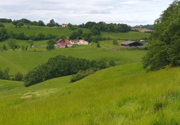 Propriété de chasse Propriété de chasse et d'élevage de 109 hectares à vendre
