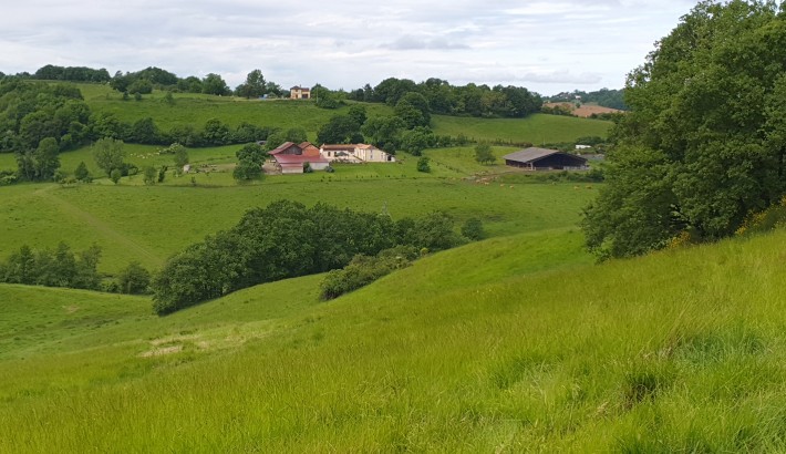 Propriété de chasse Propriété de chasse et d'élevage de 109 hectares à vendre