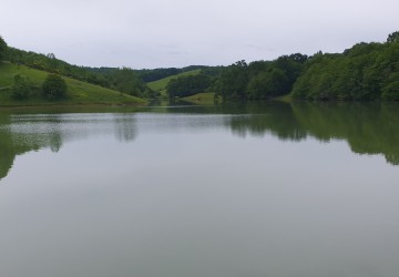Propriété de chasse Propriété de chasse et d'élevage de 109 hectares à vendre