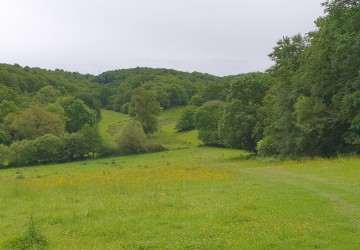 Propriété de chasse Propriété de chasse et d'élevage de 109 hectares à vendre