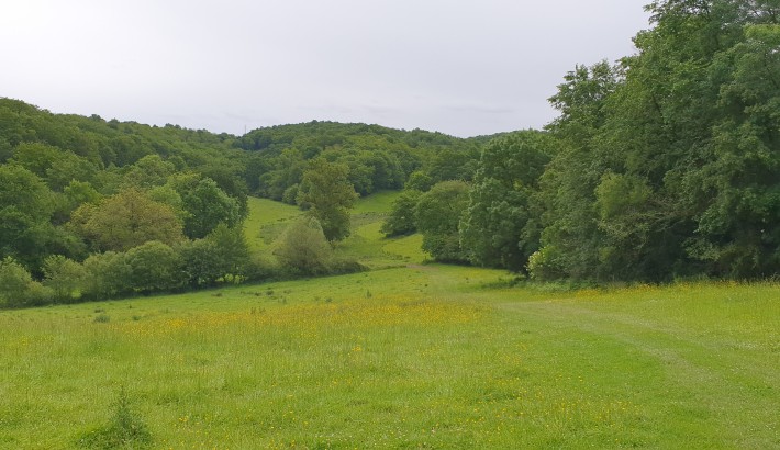 Propriété de chasse Propriété de chasse et d'élevage de 109 hectares à vendre