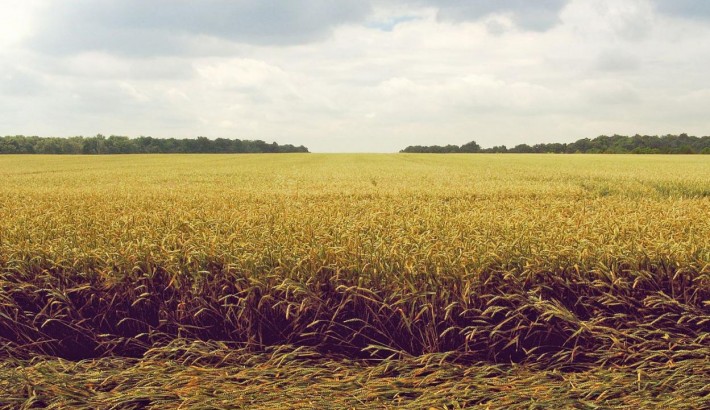 Propriété de chasse Propriété de chasse et agricole sur 237 hectares