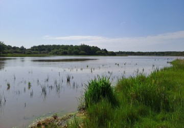 Propriété de chasse Exceptionnelle propriété en Sologne des Etangs